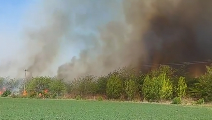 Importante incendio forestal entre la UNLu y el Instituto Alvear