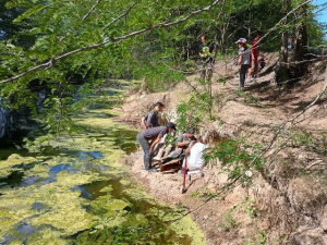 Investigadores trabajan en la excavación y registro de un gliptodonte en la cuenca del Río Luján