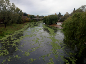 Lluvias: ¿Cómo está el Río Luján?