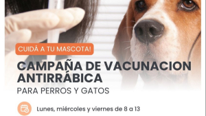Inicia la Campaña 2026 de Vacunación Antirrábica Gratuita para perros y gatos