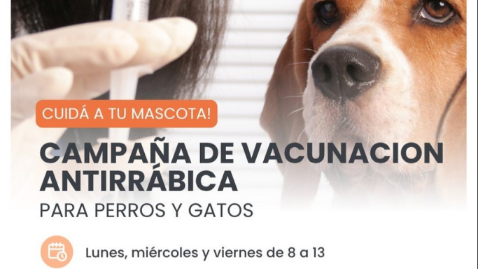 Inicia la Campaña 2026 de Vacunación Antirrábica Gratuita para perros y gatos