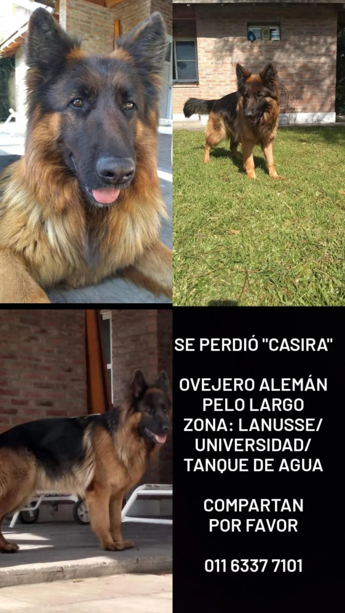 Se perdió Casira