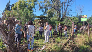 “Huerta en Casa”: se entregarán semillas de la temporada primavera-verano