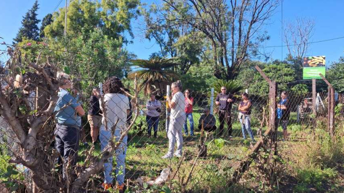 “Huerta en Casa”: se entregarán semillas de la temporada primavera-verano