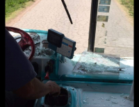 Destrozaron el parabrisas de un 501