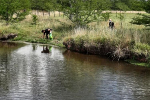 Dirección de Ambiente concretó jornada de limpieza en el “Arroyito de Oro”