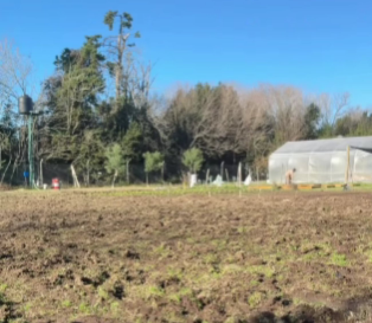 Suipacha impulsa su Vivero Municipal para la reforestación y la educación ambiental