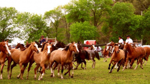 Suipacha celebrará la Fiesta del Pueblo 2021