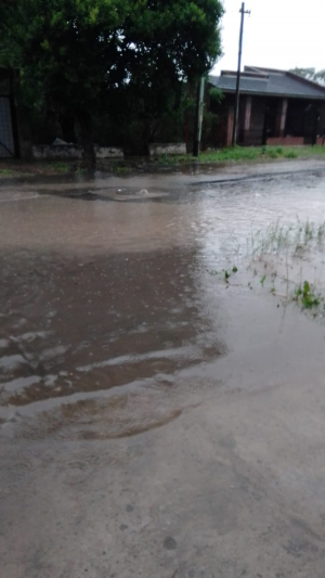 Anegamientos en barrio Lanusse y otras complicaciones