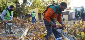 Comenzó la campaña de poda en localidades