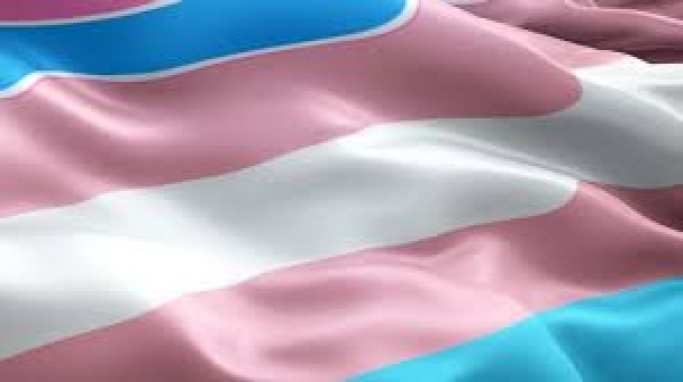 Abrió la inscripción al FiNes Travesti Trans Diverso