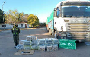 Secuestraron una millonaria carga de hojas de coca que venía de Salta a General Rodríguez