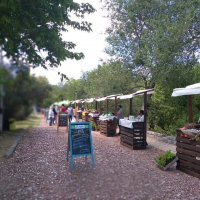 Mercado Sustentable: se suman más propuestas culturales gratuitas en el Paseo Calelian