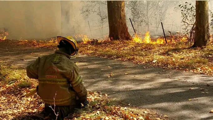 Indignación entre los Bomberos de Luján tras los dichos de Federovisky