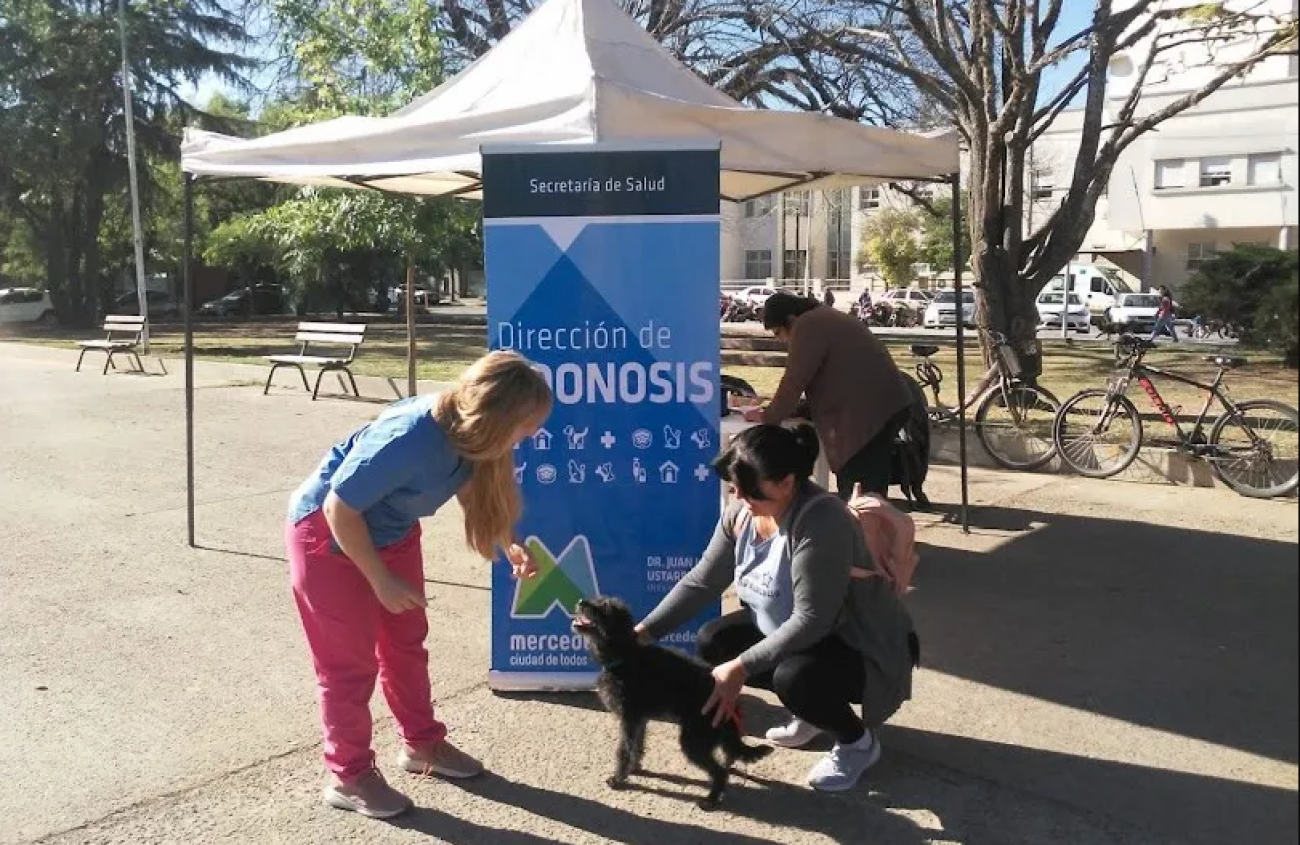 Realizaron operativo de cuidado animal en Mercedes