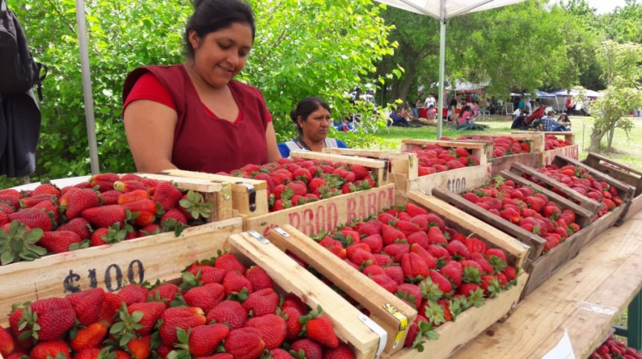 Este finde habrá "Fiesta de la Frutilla" en la Expo Rodríguez y habrá bandas de rock y folklore