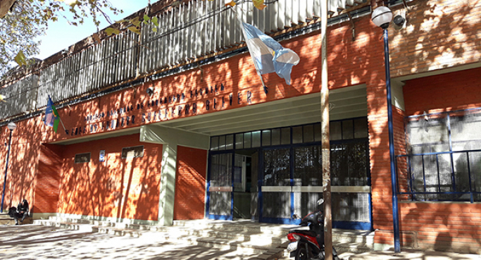 Suspendieron las clases en la Industrial por una invasión de insectos