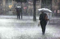 TEMPORAL EN LUJÁN: ANEGAMIENTOS Y CAÍDA DE ARBOLES