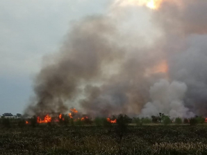Bombero Voluntarios pidieron precaución para evitar incendios forestales