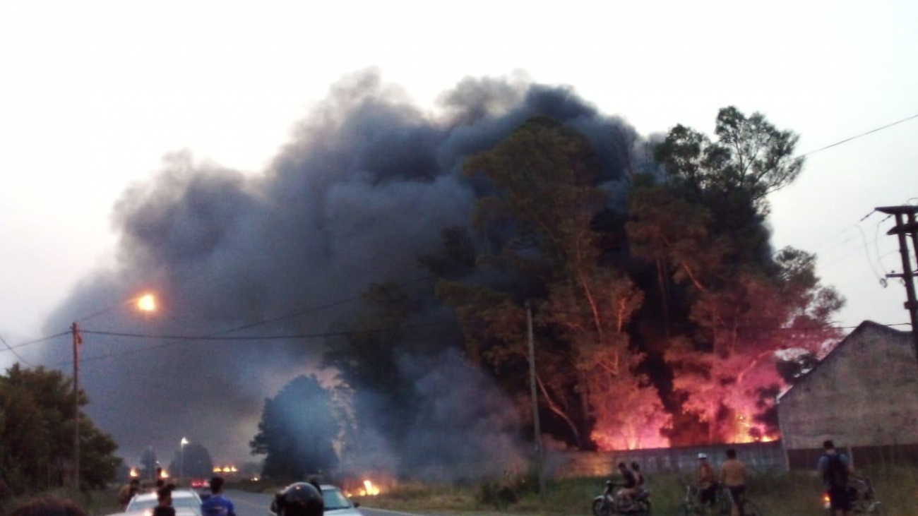 "ES URGENTE QUE BOTO DECRETE LA EMERGENCIA ÍGNEA ANTE LOS INCENDIOS FORESTALES"