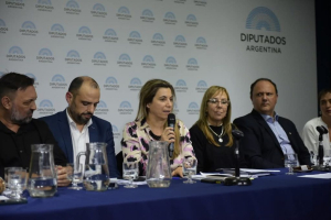 Mercedes: Gran aumento en internaciones y consultas por salud mental